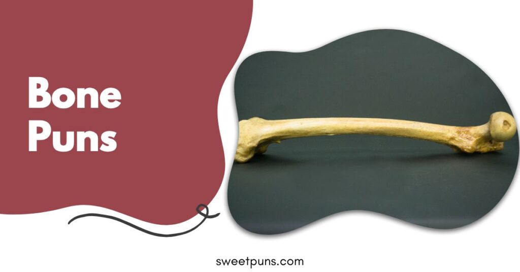 Bone Puns