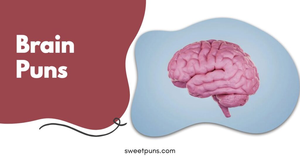 Brain Puns