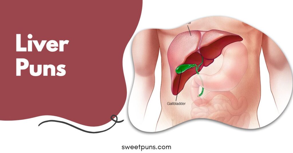 Liver Puns