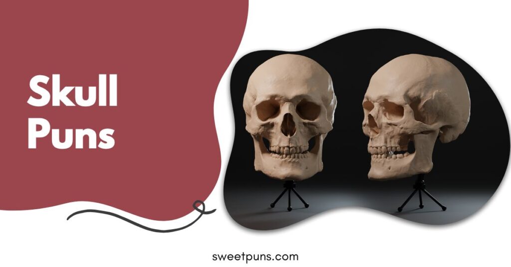 Skull Puns
