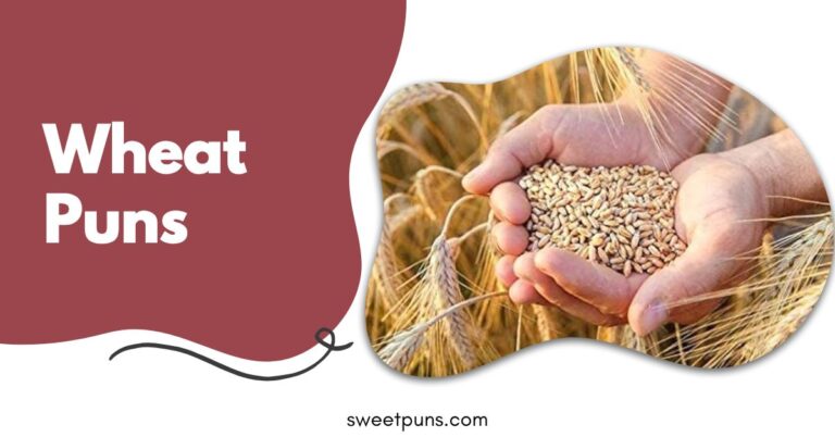 Wheat Puns